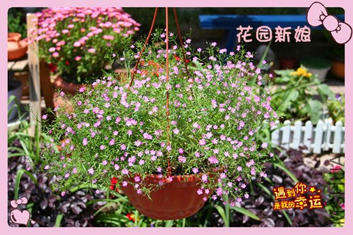 ��Ƭ 068_������1.jpg