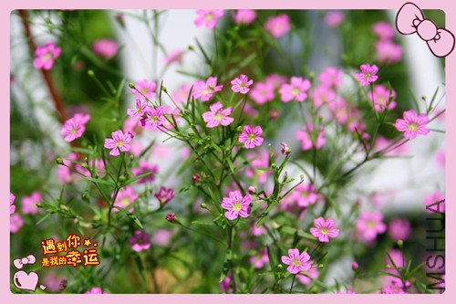 ��Ƭ 066_����2.jpg