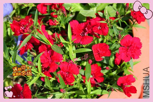 ��Ƭ 013_����ʯ2.jpg