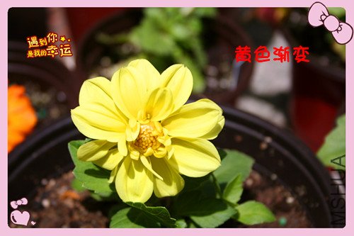 ��Ƭ 042_������2.jpg