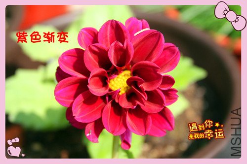 ��Ƭ 044_��������_����.jpg