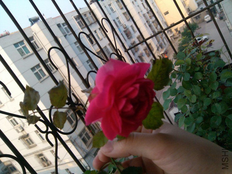 IMG_20120429_070027.jpg