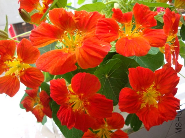 DSC03967.JPG