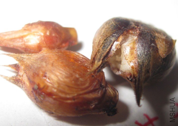 QQ��ͼ20120510114813.jpg