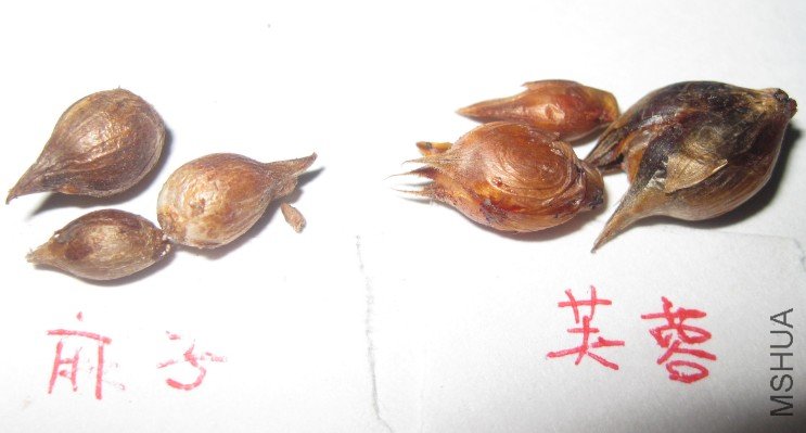 QQ��ͼ20120510114751.jpg