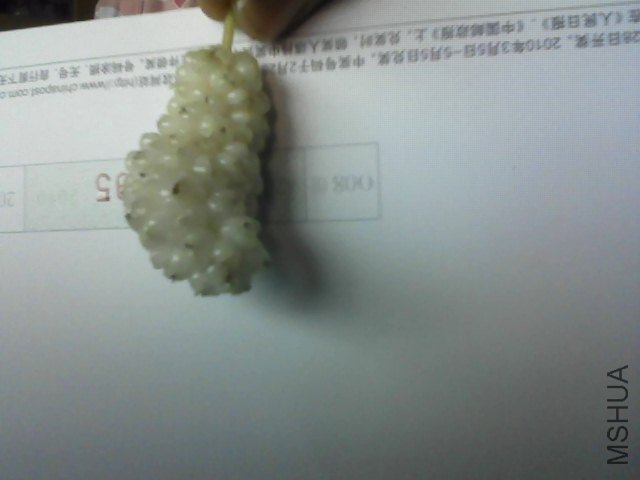 Snapshot_20120510.JPG