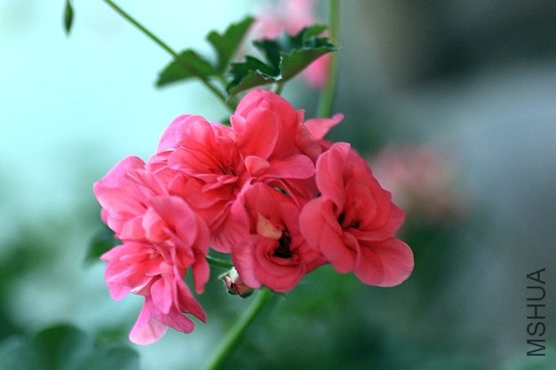 IMG_8841.jpg