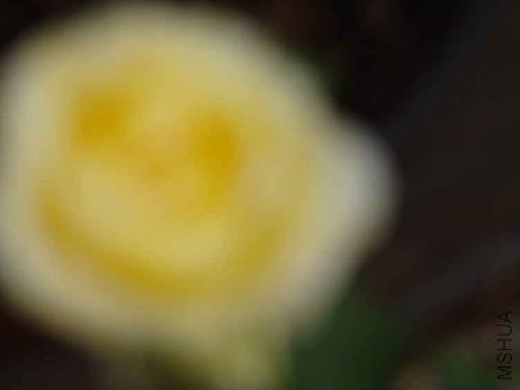 QQ��ͼ20120510131230.jpg