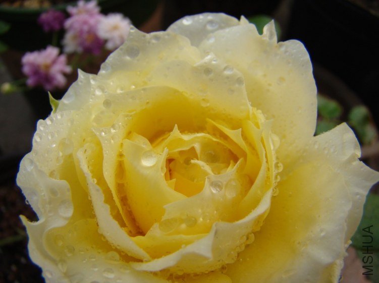 QQ��ͼ20120510123618.jpg