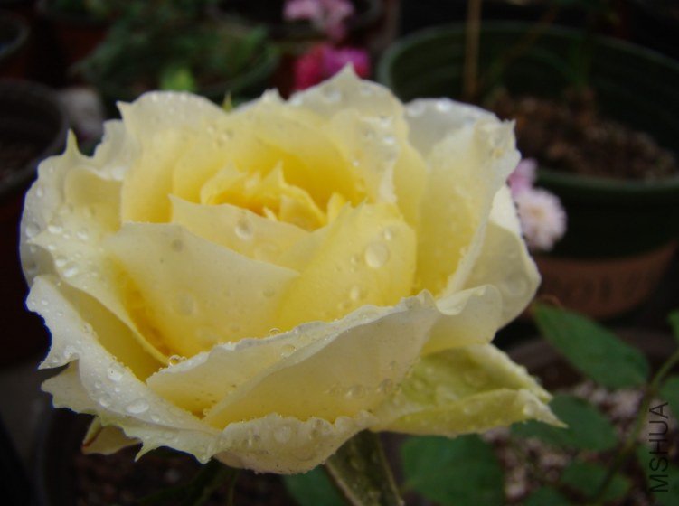 QQ��ͼ20120510130044.jpg