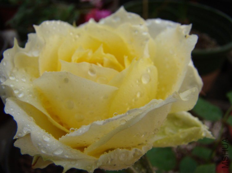 QQ��ͼ20120510130124.jpg