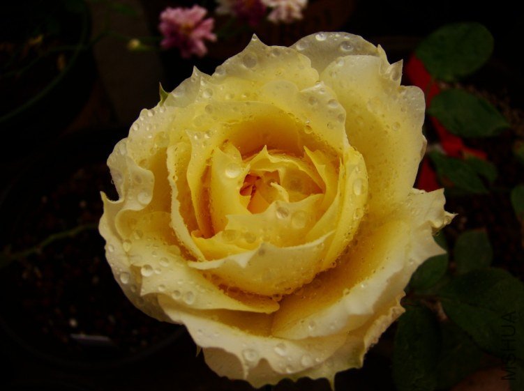 QQ��ͼ20120510130153.jpg
