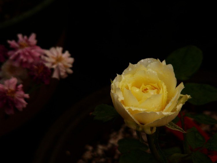 QQ��ͼ20120510130232.jpg