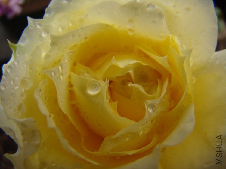 QQ��ͼ20120510130431.jpg