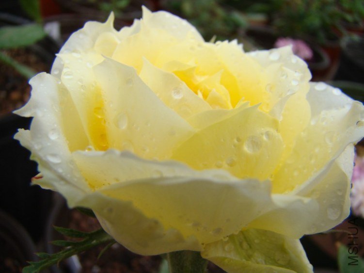 QQ��ͼ20120510130726.jpg