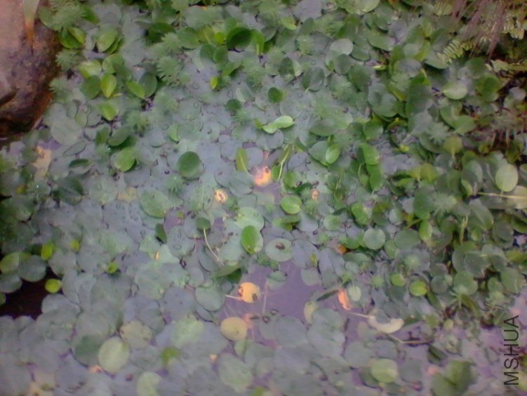 2012-04-13 09.37.11a.jpg