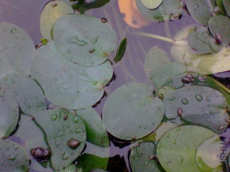 2012-04-13 09.37.49a.jpg