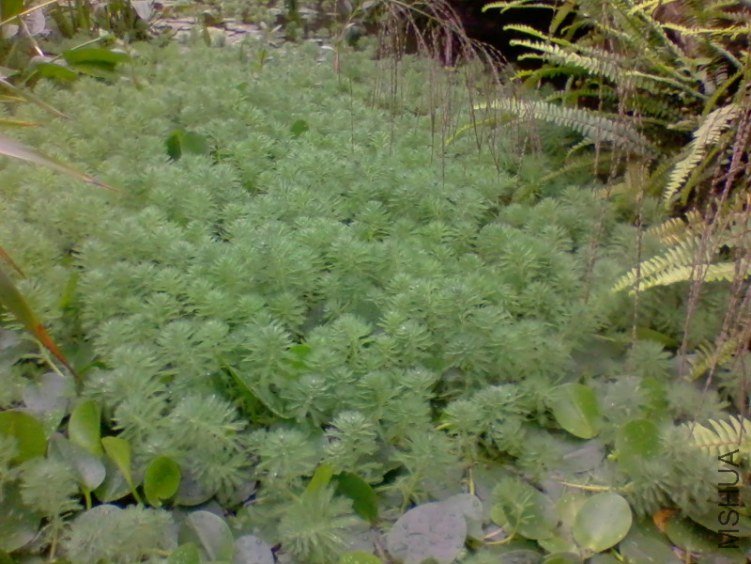2012-04-13 09.38.02a.jpg