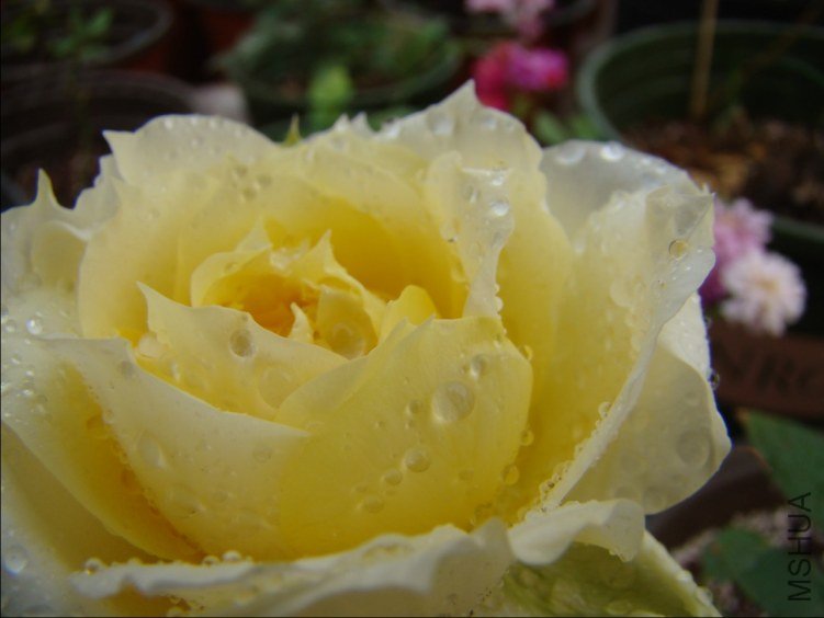 QQ��ͼ20120510130336.jpg