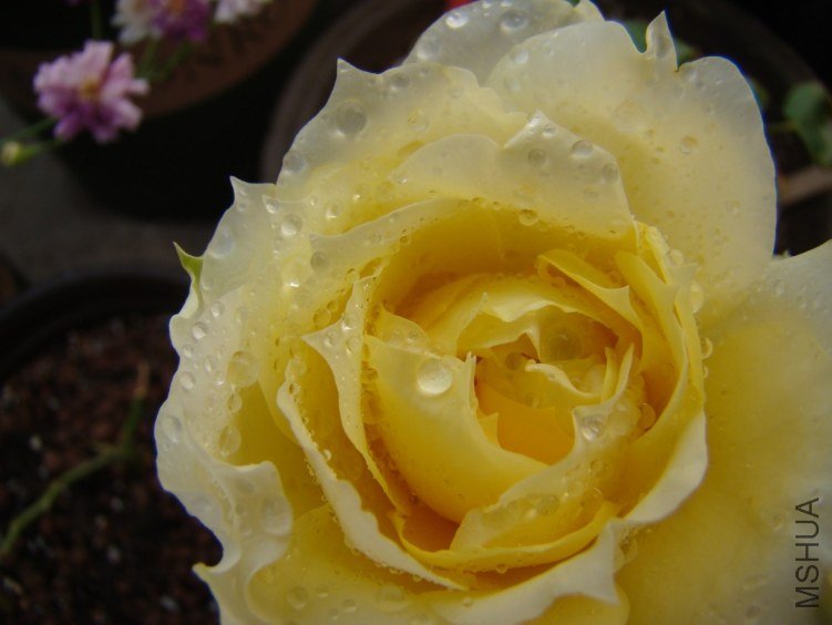 QQ��ͼ20120510130420.jpg