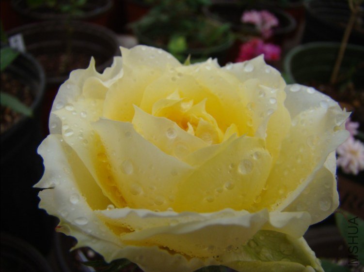 QQ��ͼ20120510130736.jpg