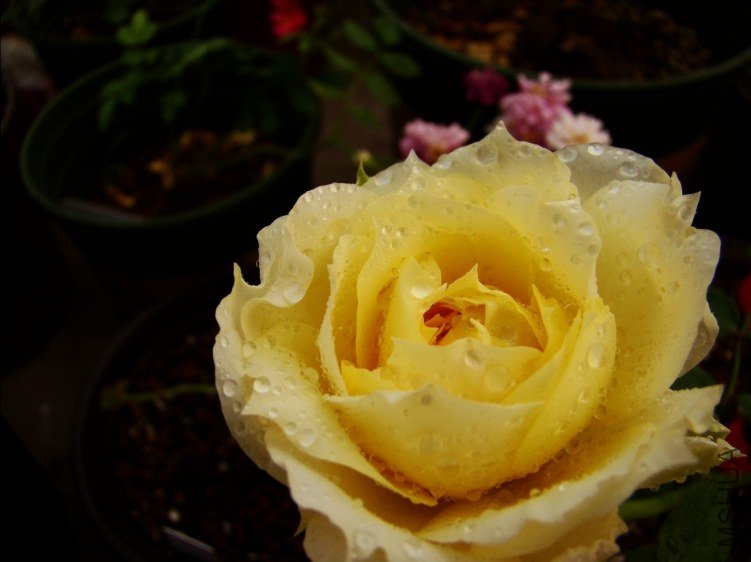 QQ��ͼ20120510140315.jpg