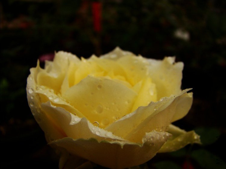 QQ��ͼ20120510140325.jpg