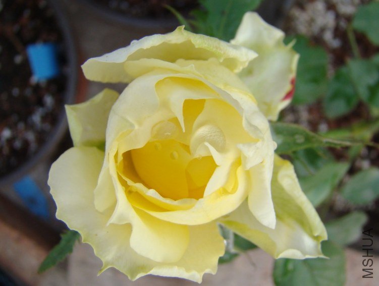 QQ��ͼ20120510162954.jpg