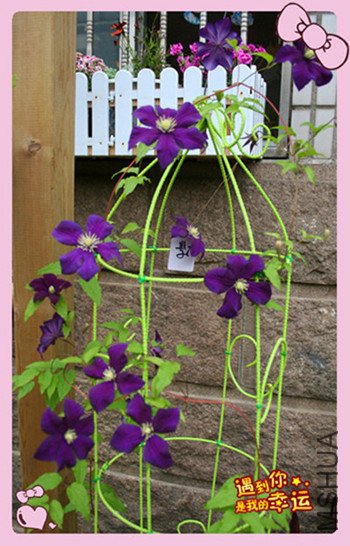 ��Ƭ 035_������1_����_����_����.jpg