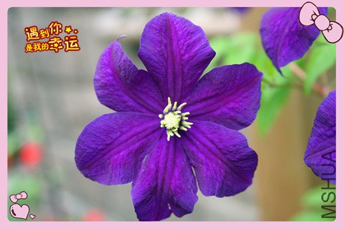 ��Ƭ 038_����3.jpg