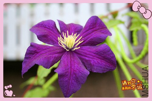 ��Ƭ 040_����4.jpg