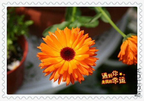 ��Ƭ 135_������1.jpg