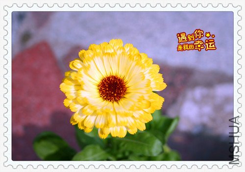 ��Ƭ 158_������2.jpg