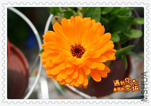 ��Ƭ 211_������3.jpg