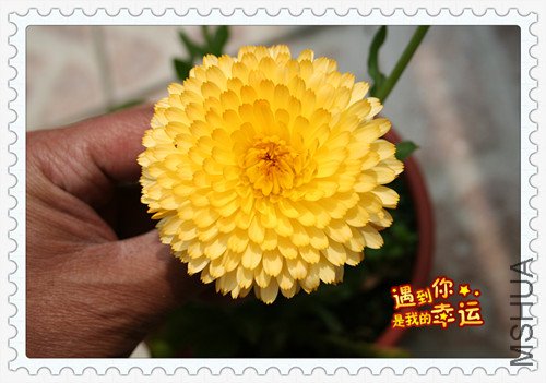 ��Ƭ 213_������5.jpg