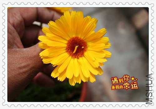 ��Ƭ 214_������7.jpg