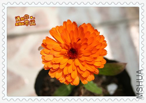 ��Ƭ 221_������8.jpg