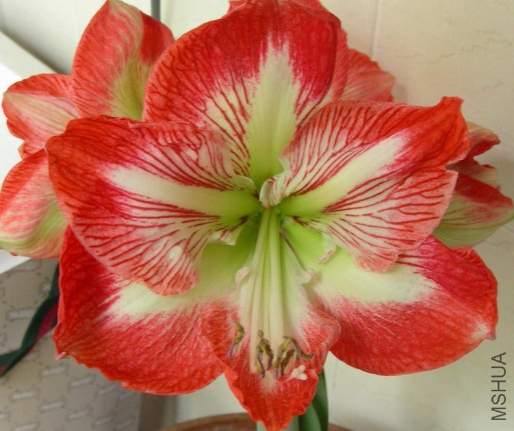 DSCN7936.JPG