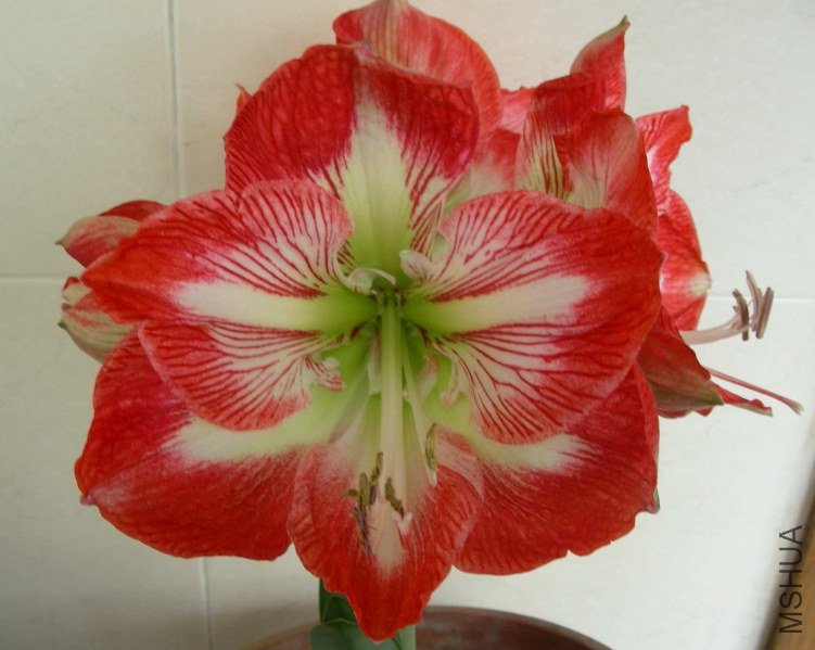 DSCN7939.JPG
