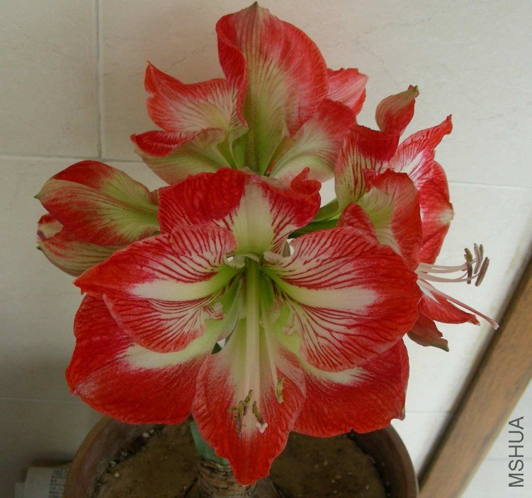 DSCN7941.JPG