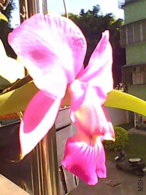 111203A106.jpg