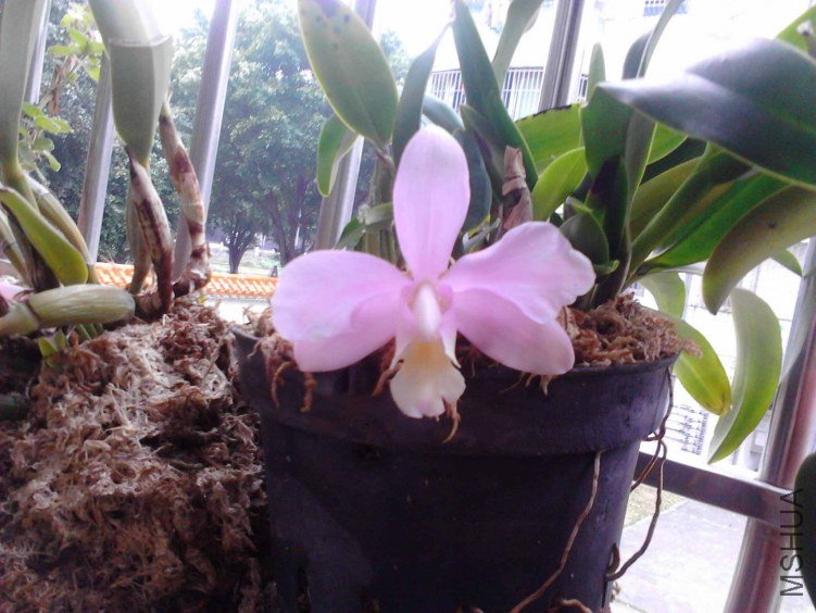 Camera_20120506_090025.jpg