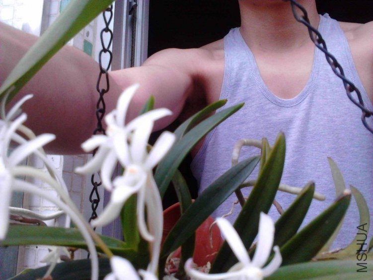 Camera_20120506_090315.jpg