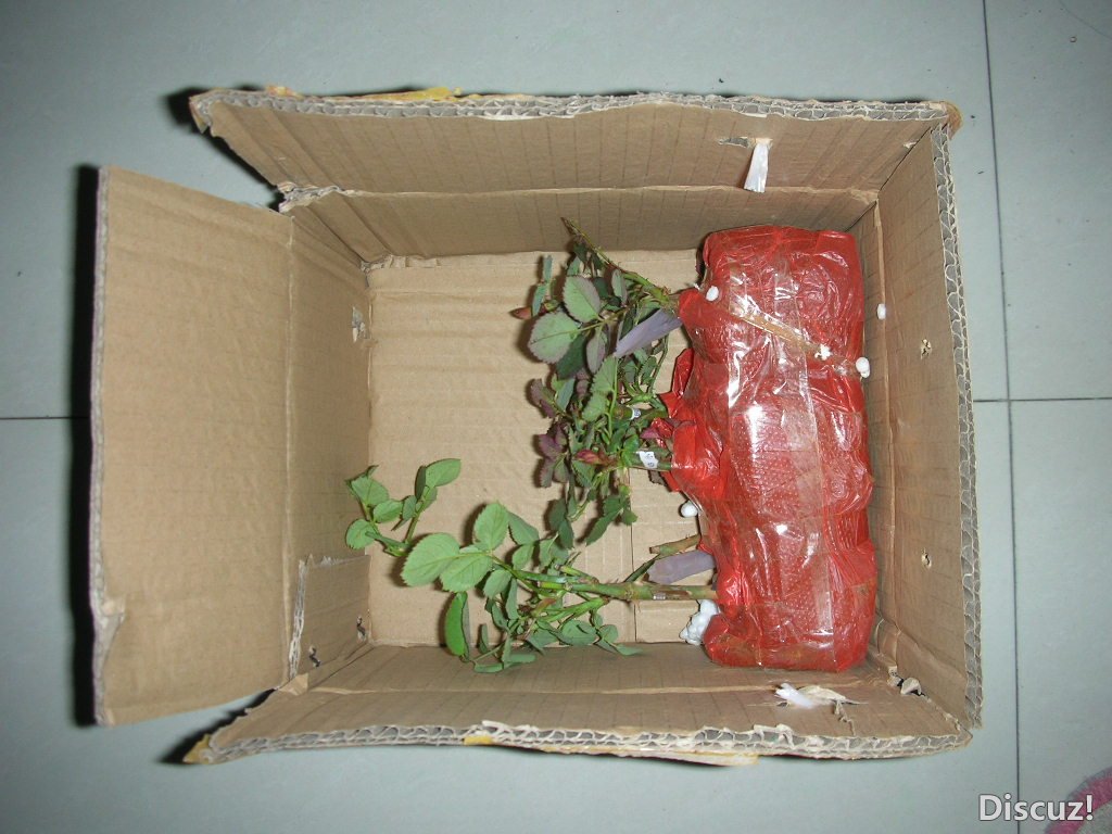 DSCN3387.JPG