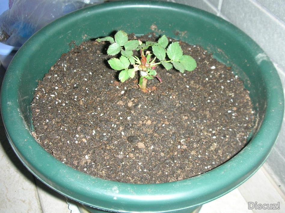 DSCN3404-.JPG