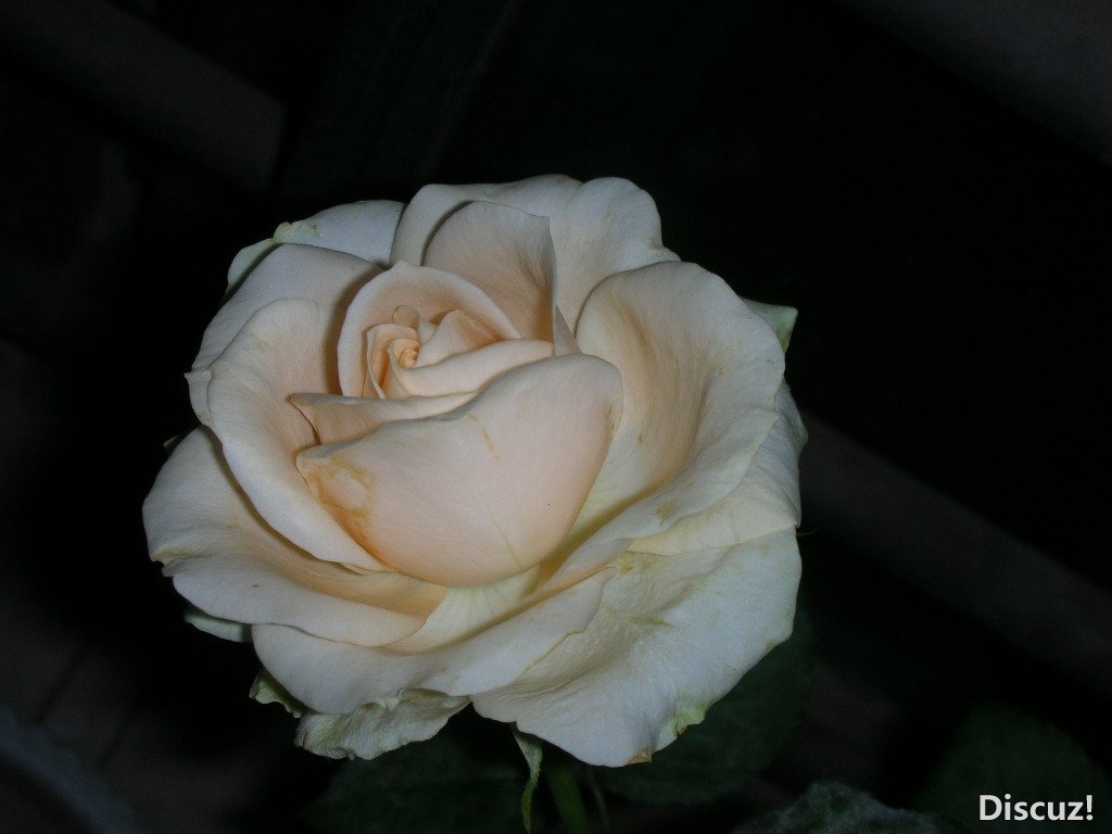 DSCN4304.JPG