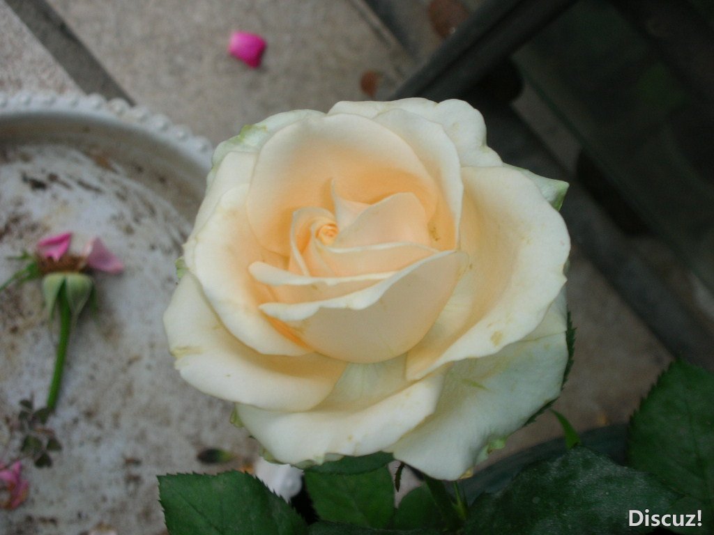 DSCN4330.JPG