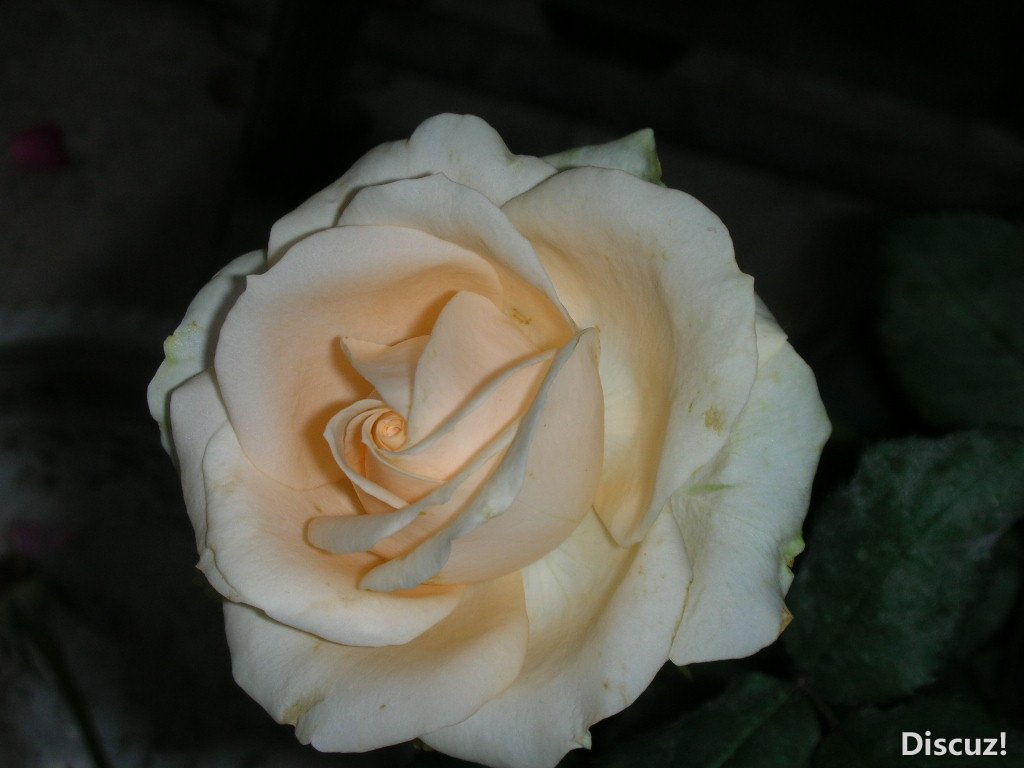 DSCN4331.JPG