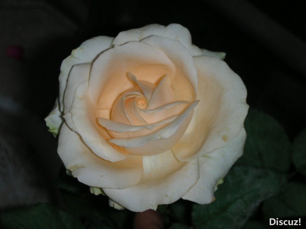 DSCN4334.JPG