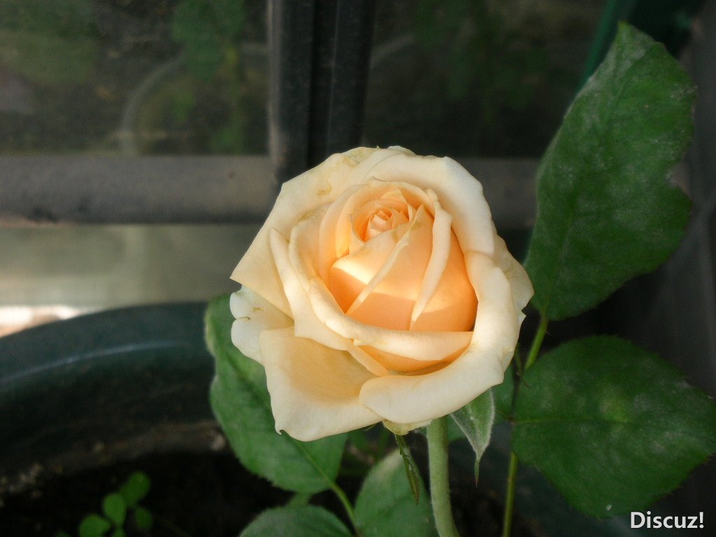 DSCN4371.JPG